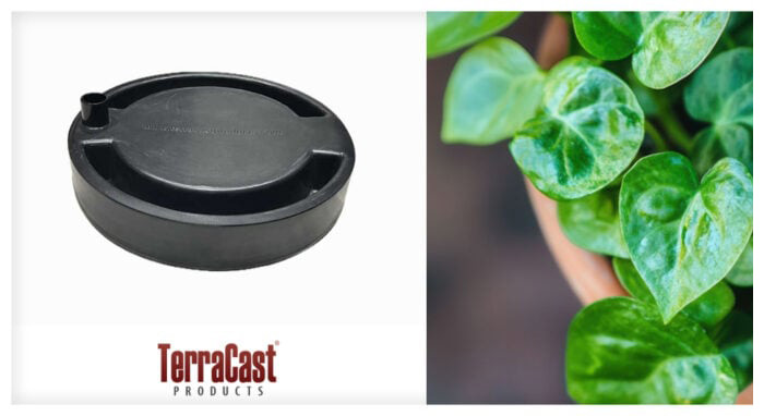 How Self-Watering Planter Inserts Improve Plant Health and Reduce Maintenance