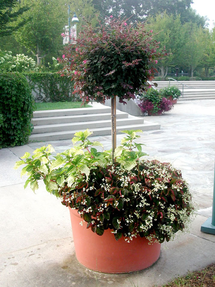 How To Create The Best Large Flower Pots On The Block