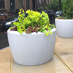 How to Showcase Your Business During the Winter with Planters