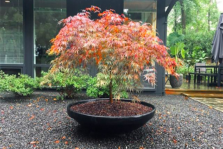 Incorporating autumn inspiration