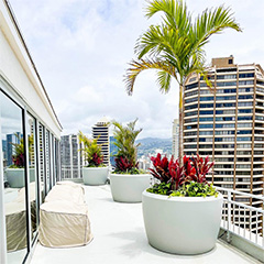 Investing in High Quality Outdoor Planters