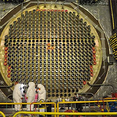 Lead Wool for Nuclear Reactor Shielding: CANDU Applications and Irregular Cavity Fill