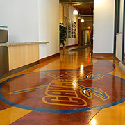 Lumiere Metallic Epoxy Flooring