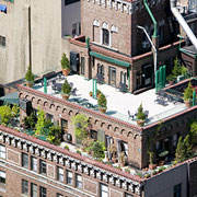 Modern Planters for Rooftop Gardens