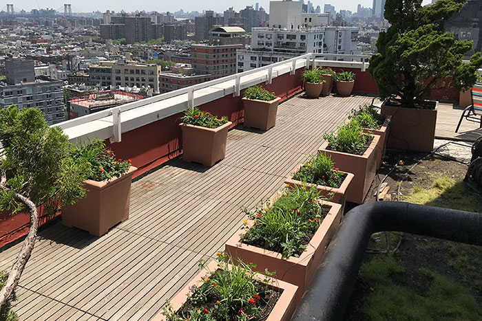 Modern Planters for Rooftop Gardens