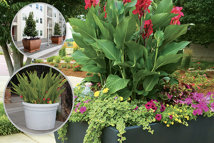 New planter styles and sizes in the latest Planter Catalog by Terracast Products