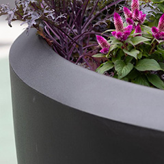 Planters 101: What Actually Makes a Good Planter?