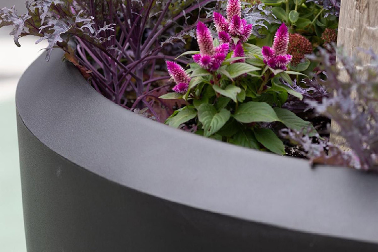 Planters 101: What Actually Makes a Good Planter?