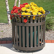 Planters from Thomas Steele