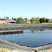 Pond Netting: Protecting People, Birds, Water, And Investments