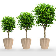 Self-Watering Planters from TerraCast