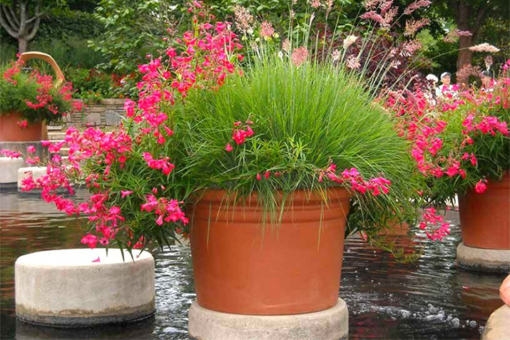 Soundscape Design with Planters Soundscape Design with Planters