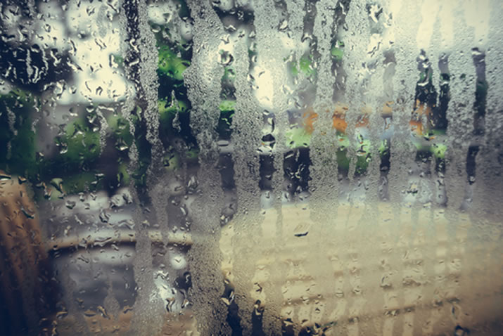 Spray Foam Insulation In A Humid Region