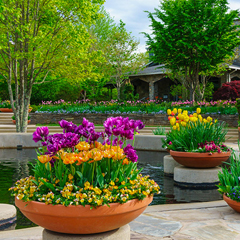 Spring is a perfect time to add colors and freshen up your outdoor space