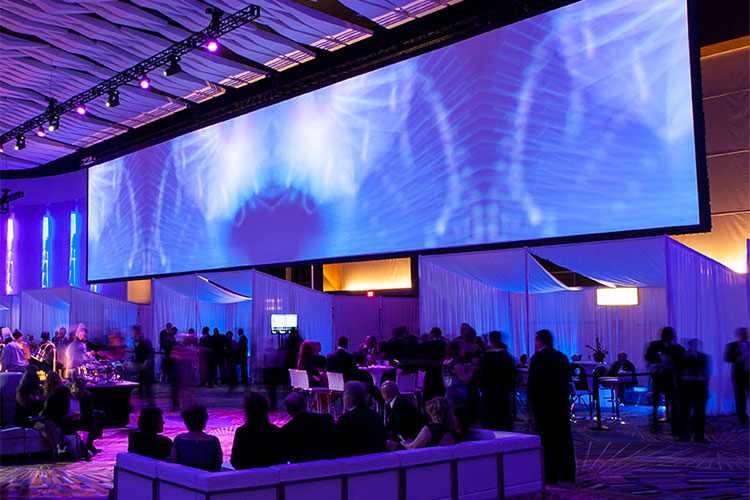 Stagescreen Portable Projection Screen®