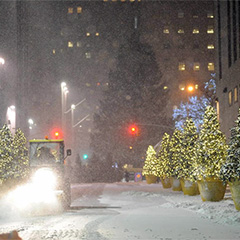 Strategic Seasonal Planning with TerraCast®: Durable Resin Planters for Long-Term Performance