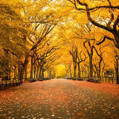 Terracast Resin Furnishings: Enhancing Public Spaces for the Fall Season