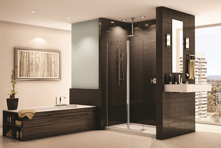 The Pros and Cons of Fixed and Pivoting Glass Shower Shields