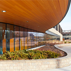 Timber Curtain Walls for Public-Facing Buildings