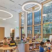 Unicel Architectural Timber Curtain Wall for Passive House & Low-Carbon Design