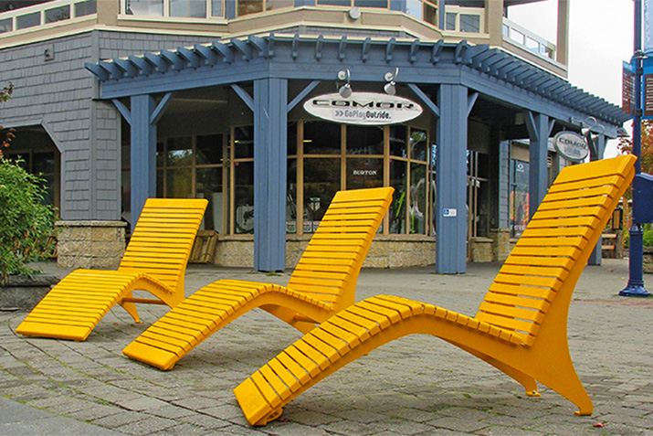 Whistler's Cultural Connector