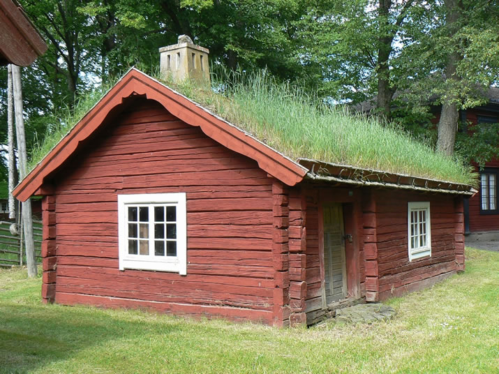 Why You Should Have A Green Roof
