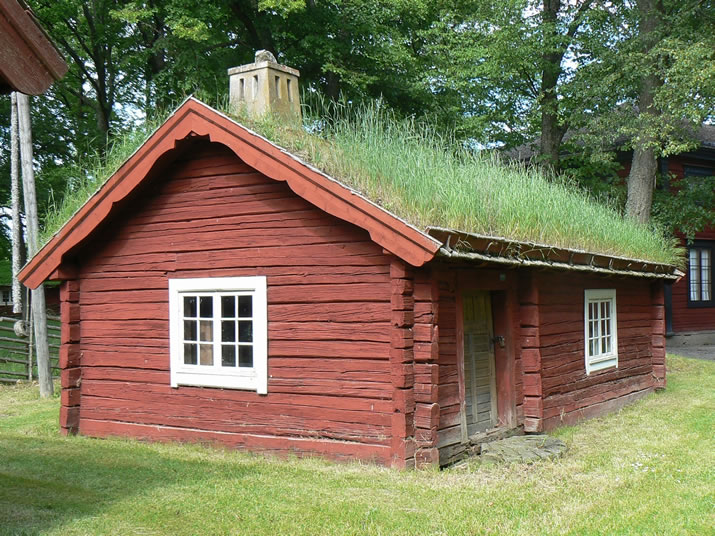 Why You Should Have A Green Roof