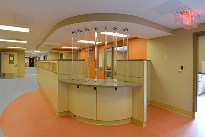 Wood door solutions for high-risk areas